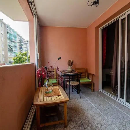 Apartman Grand T3 Climatise Avec Parking Ajaccio